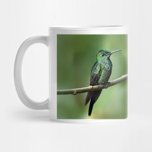 Green-Crowned Brilliant Hummingbird - Costa Rica Mug